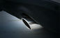 Audi Q5 2009 2013 Dekorasi Spare Parts, Stainless Steel Tail Vent-Pipe Penutup pemasok